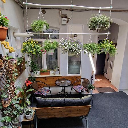 Studio Unikat Braşov Extérieur photo